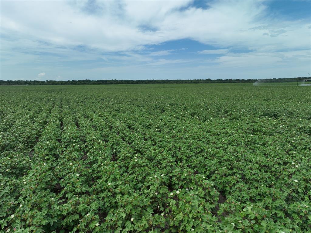 NA - Farm