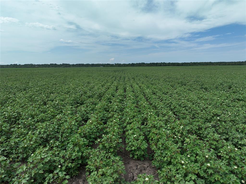 NA - Farm