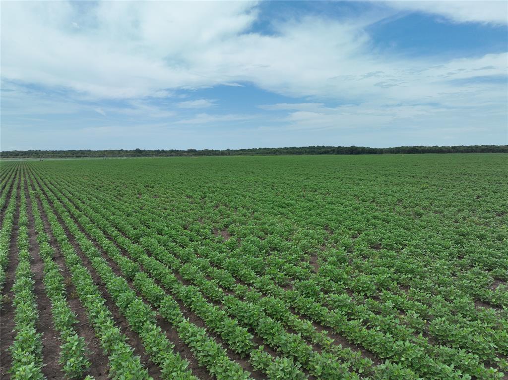 NA - Farm