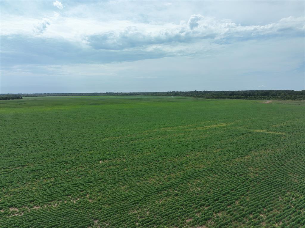 NA - Farm