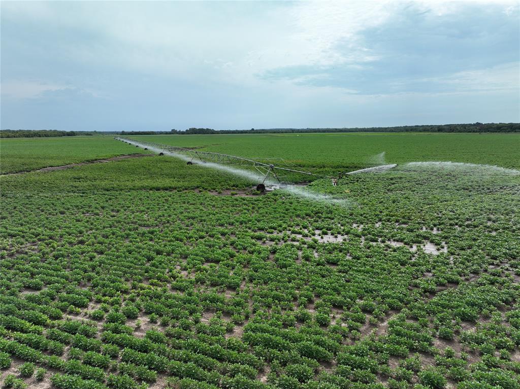 NA - Farm