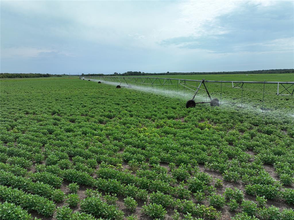 NA - Farm