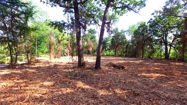 Discover the perfect opportunity to build your dream home or investment property on this unique half-acre lot in Denison. Located less than half a mile from Wal Mart and US HWY 75, and just off FM 120, this property offers convenient access to shopping, dining, and major highways. Nestled on a quiet, low-traffic street, the lot provides privacy with mature trees—customize the landscape to suit your needs and enjoy a serene setting. City water and electricity are available, and a septic system may be required. According to the preliminary plat, this land could potentially be divided into two lots, offering flexibility for future plans. Come explore the possibilities and see how your new build would fit in this prime location.