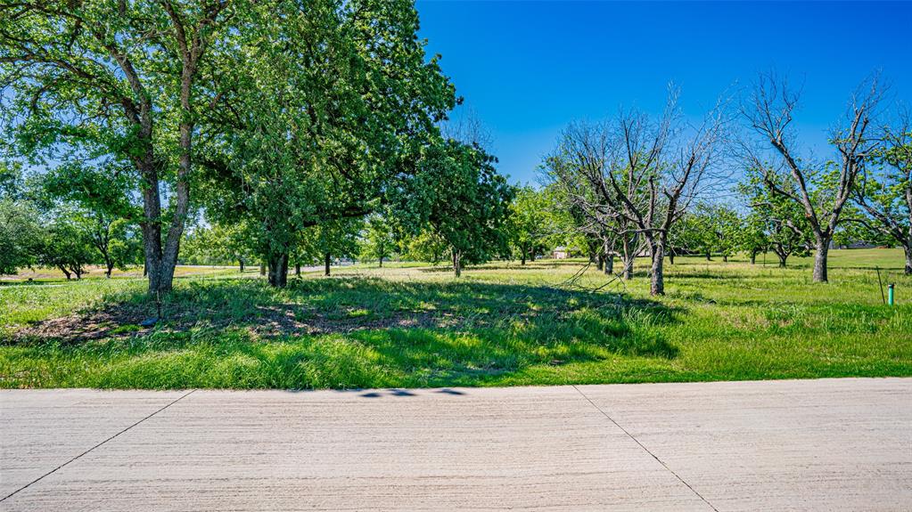 Pecan Plantation - Land