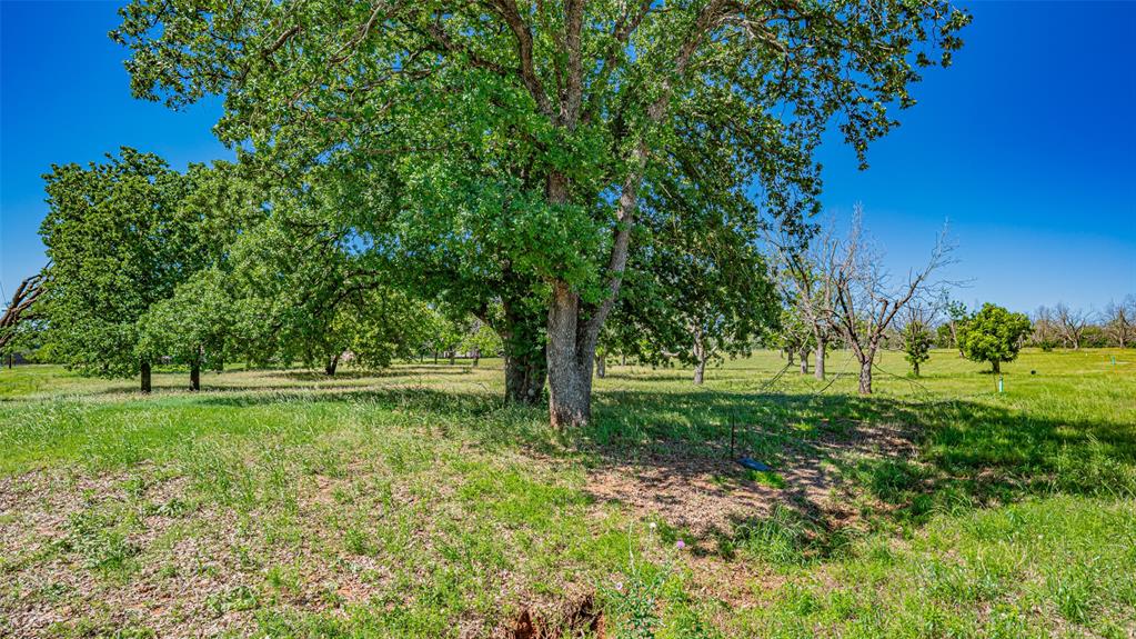 Pecan Plantation - Land