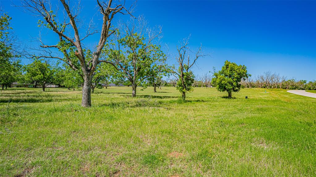 Pecan Plantation - Land