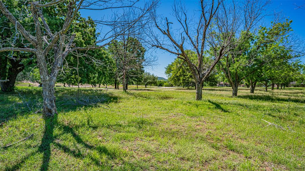 Pecan Plantation - Land