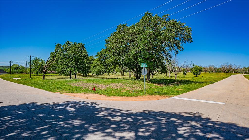 Pecan Plantation - Land