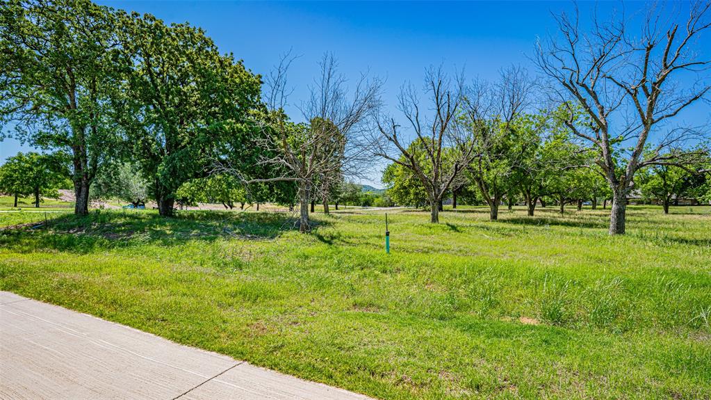 Pecan Plantation - Land