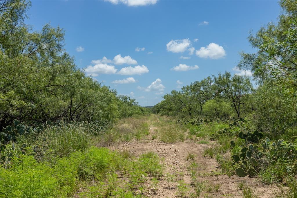 Fisher & Miller - Farm
