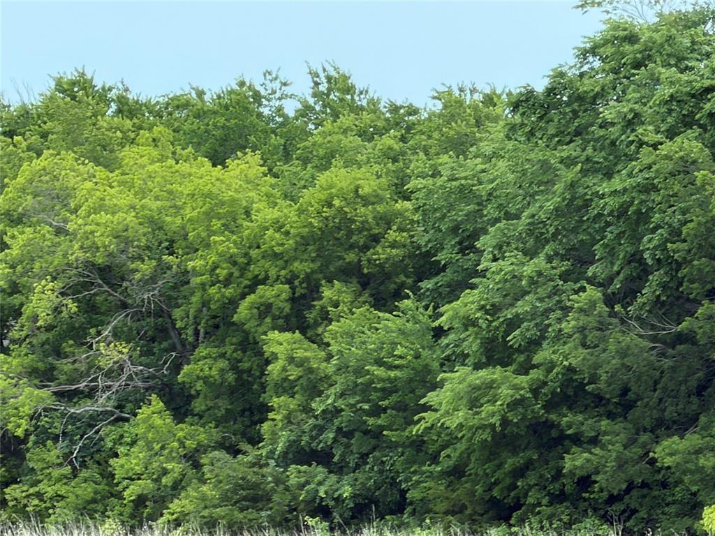 A0306 & A0290 - Land