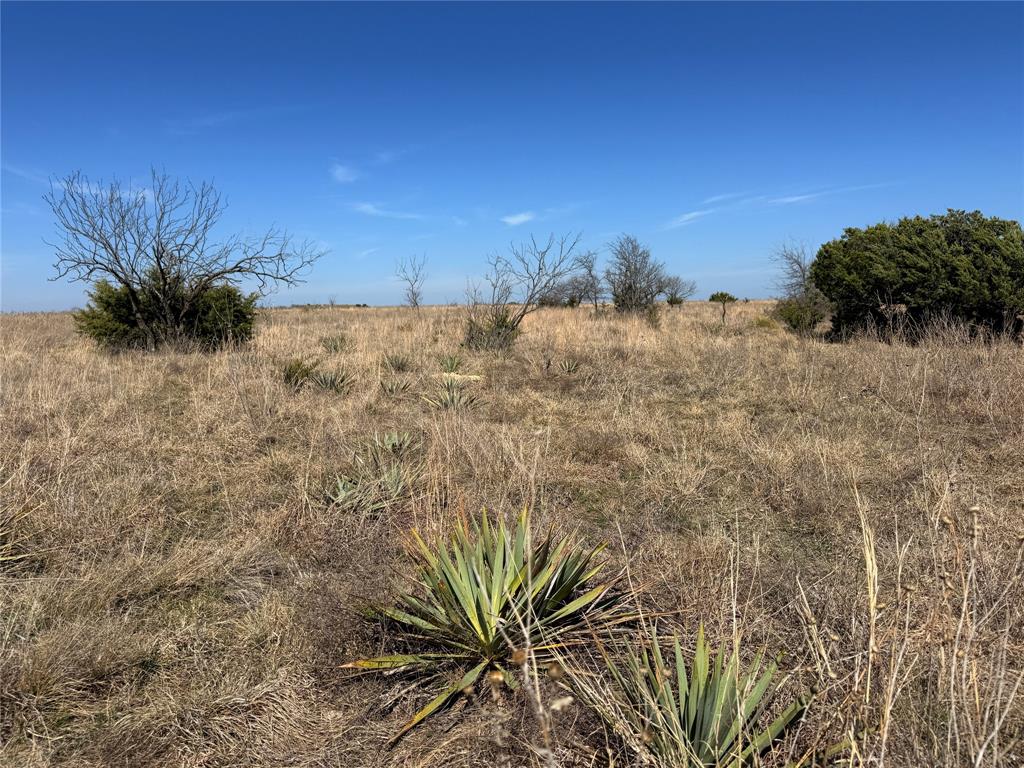 27+- Acres with Building Sites and Views

27+- Acres with building sites and views of the country side. Great property to build your forever home or that weekend getaway to escape the hustle. The terrain and vegatation of native grasses allow for the enjoyment of a few head of livestock to maintain your agricultural exemption. Electricity is available near by and one would have to drill a well for water. More acreage available. Call or text for more information, (254)784-4201.