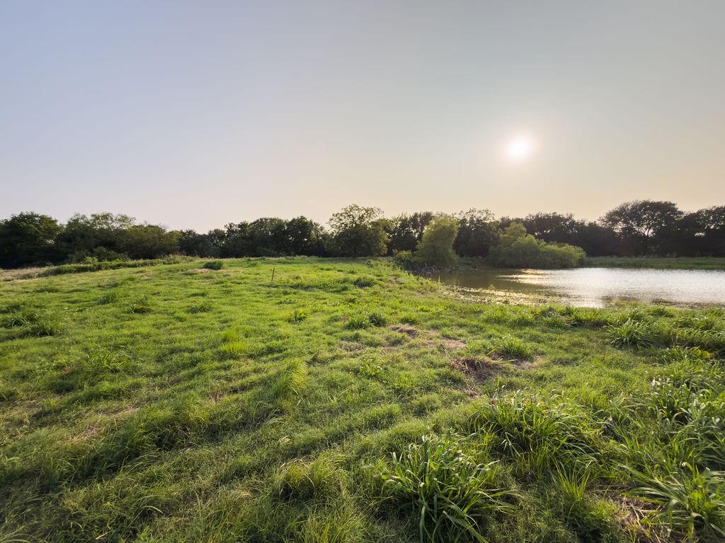 ELM BRANCH - Land