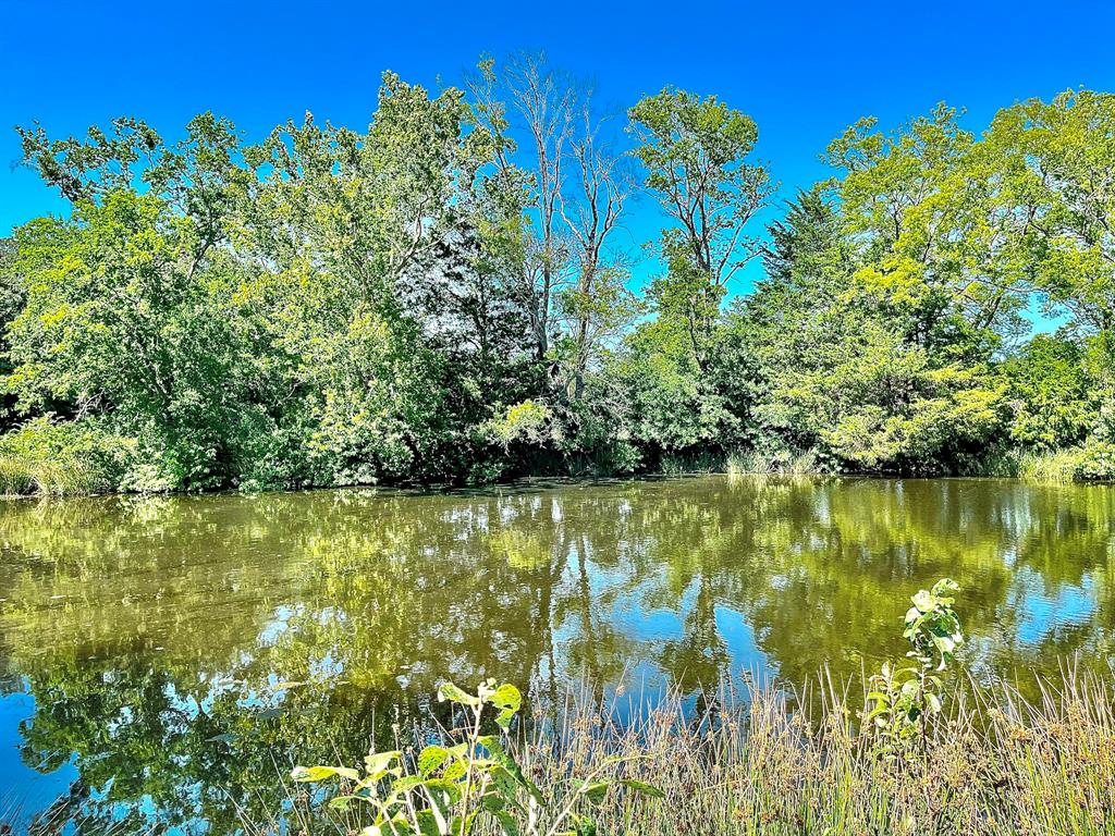 Lot 16 in Cherry Creek Ranchettes offers more than just 2.01 acres—it's a canvas for your dreams. The predominantly pasture expanse, graced by oak and cedar trees, creates a picturesque retreat. As a bonus, this property comes with partial ownership of an approximate 1.5-acre pond, providing a chance to stock it with catfish or bass for fishing enthusiasts. Enjoy daily recreation with Cherry Creek Park's jogging trail and proximity to Canton City Lake. Conveniently close to Canton ISD Schools and strategically positioned near downtown Canton and 1st Monday Trade Days, it maintains rural charm. A short drive to Dallas, Tyler or Athens. Boasting 198 feet of road frontage, this lot beckons you to shape your dream home in a prime location where nature and amenities coalesce seamlessly. Explore the potential to expand with adjacent lots 14, 15 & 16 for a 6.9-acre estate or consider a grander vision with the adjacent 26.55 acres—an expansive canvas for your unique haven to unfold.