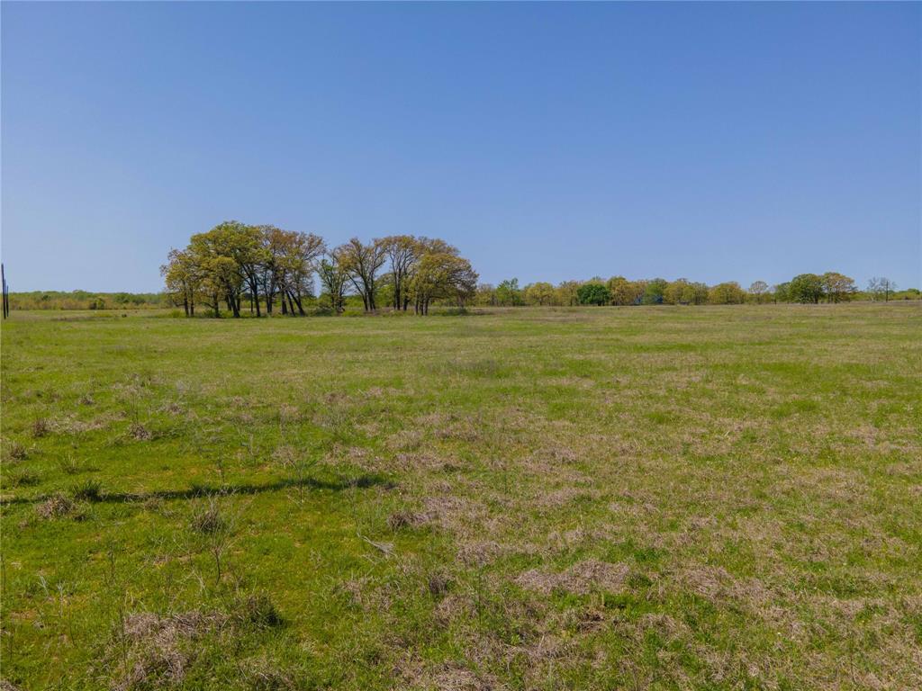 Saddle Creek Ranch - Land