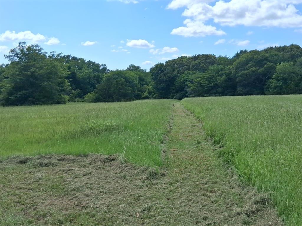 Glade Creek - Residential