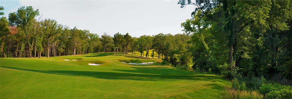 Castle Pines Add Phse 1 - Land