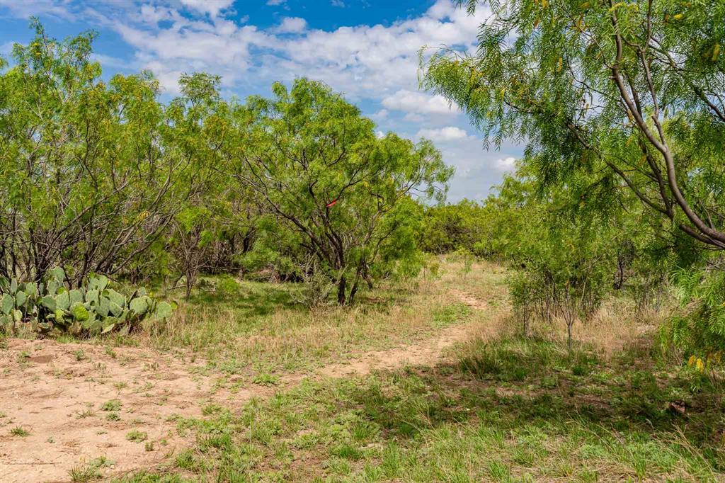 Guadalupe School Lands - Residential