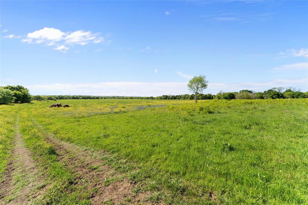 SDW - Farm