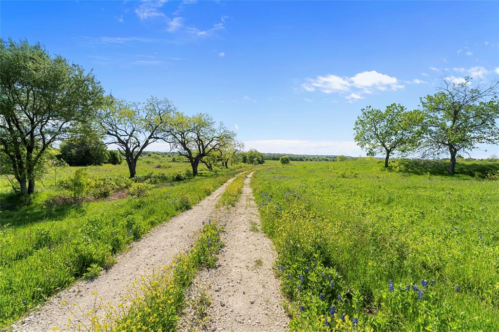 SDW - Farm