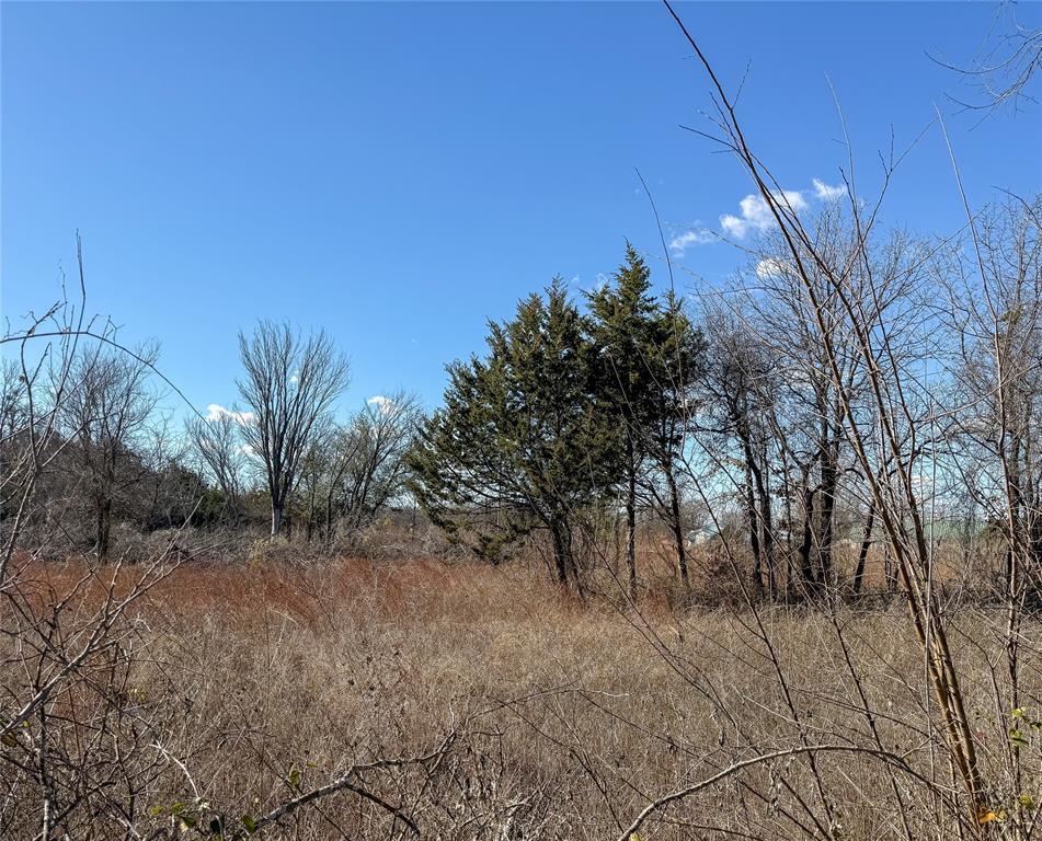 Lots of possibilities on this 1.5 acre tract with several trees.  Could be a great location for a business or residential
