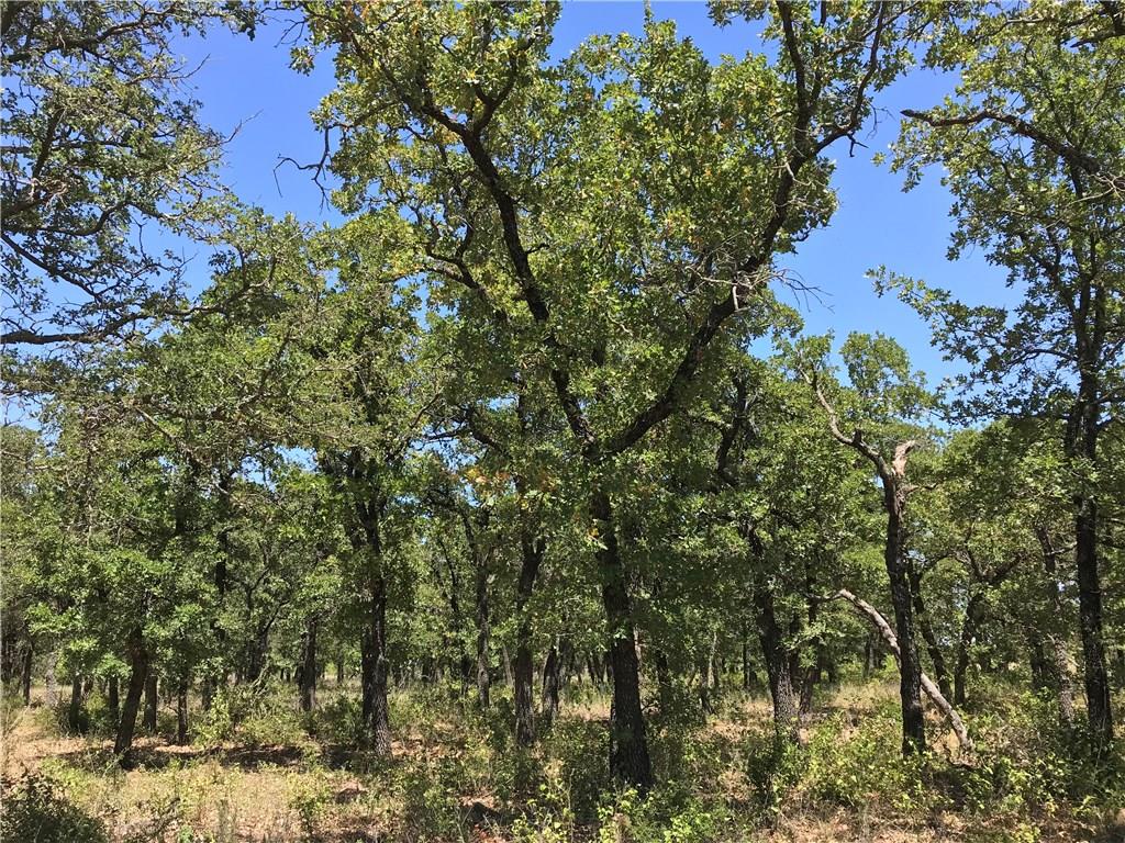 7-R Ranch - Land
