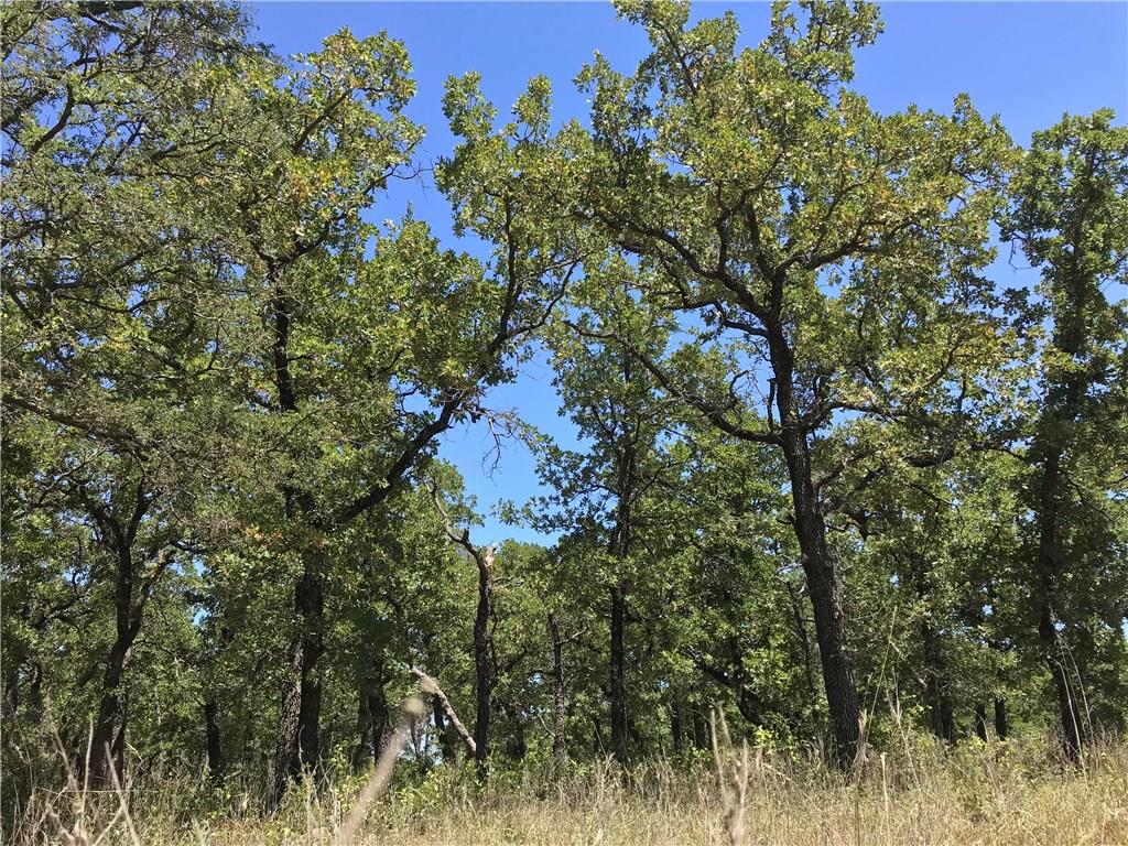 7-R Ranch - Land