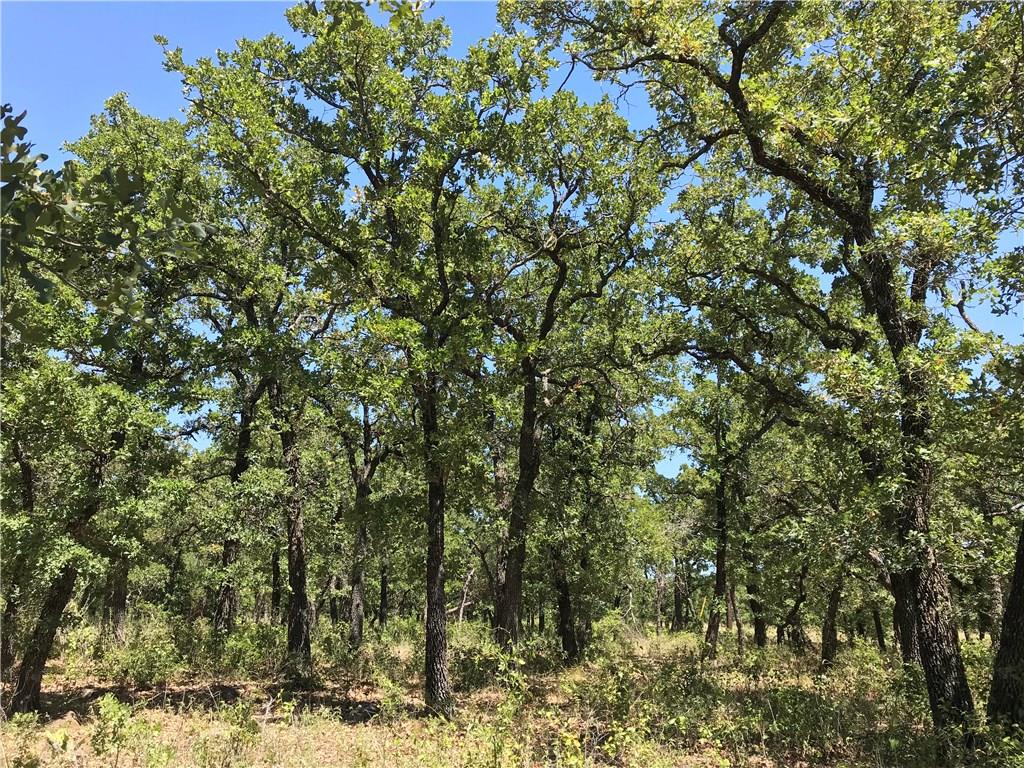 7-R Ranch - Land
