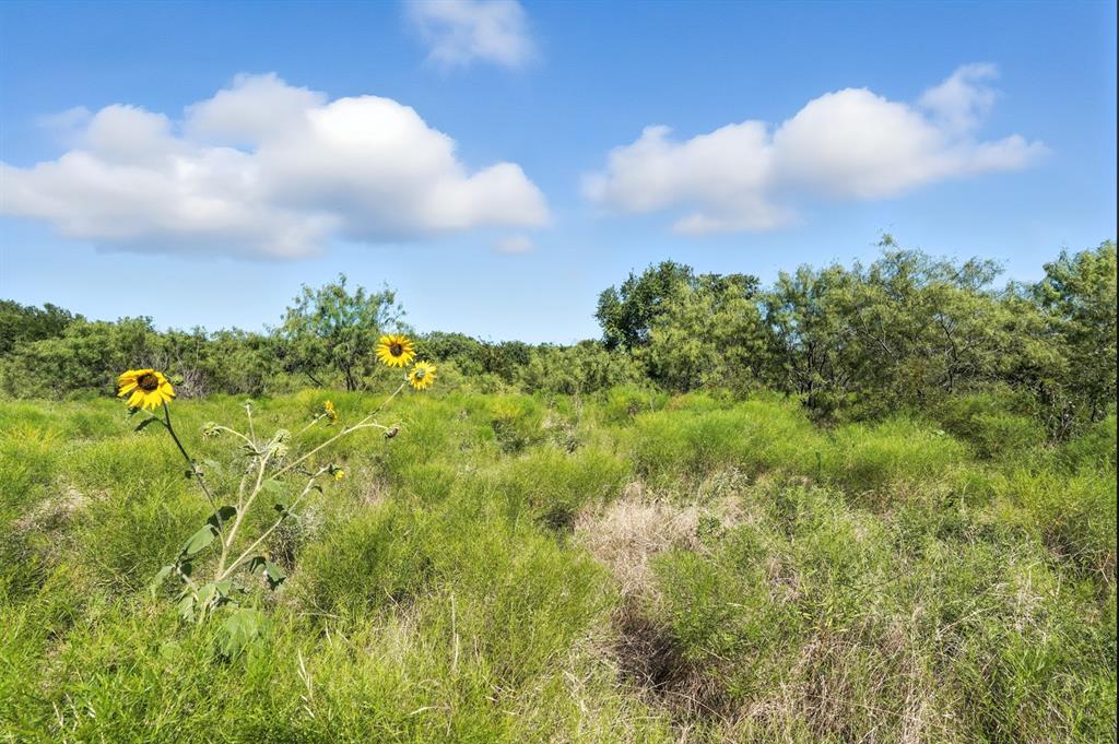 Cresson Ranch - Residential