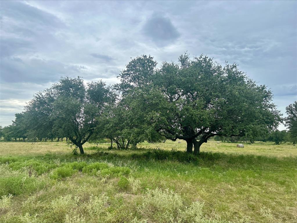 Rio Verde Subdivision - Land
