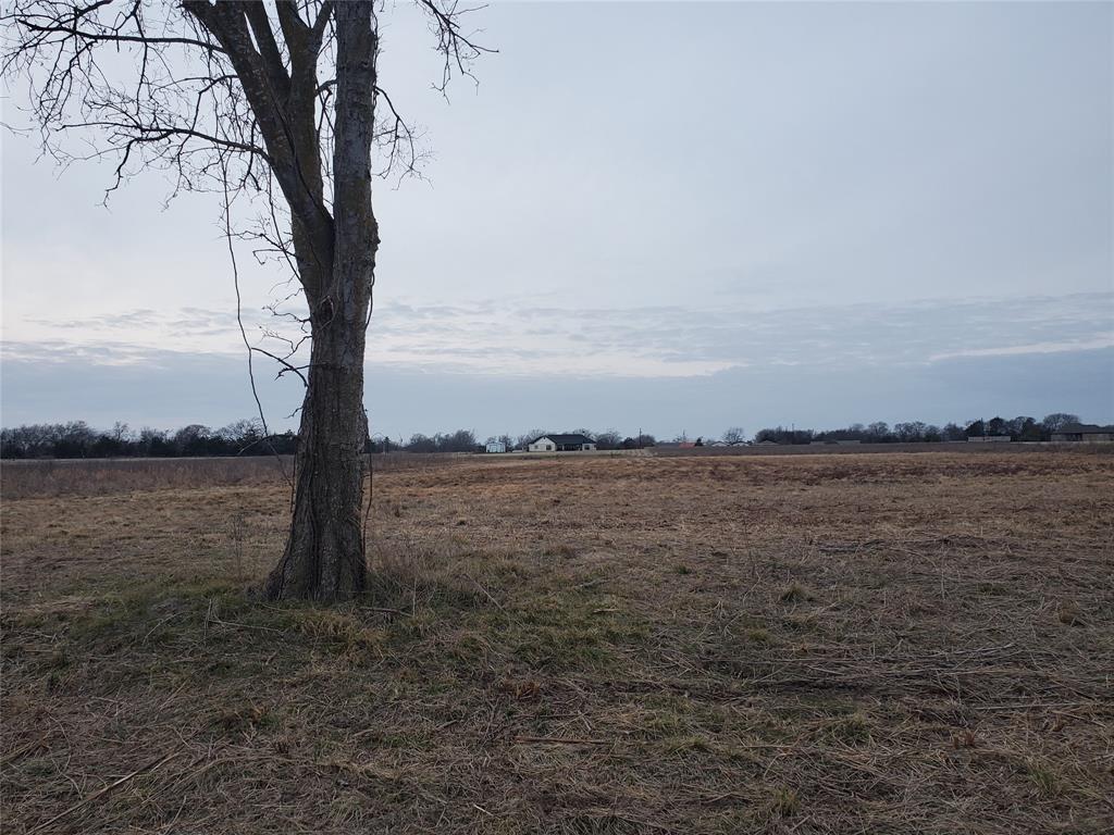 Welcome to Cotton Estates ... great location is this 1.5 acre property that offers peaceful country living with convenient access to the metroplex.  Located outside the city limits with light restrictions: 1,400 sq ft minimum site built, barndominiums allowed, mobile homes not allowed, see deed restrictions for more info. Water meter is $1800 per The city of Point. Electric available at the road but no septic on site (aerobic system would be required). Subdivision plat loaded in documents. Information deemed reliable but not guaranteed; Buyer and Buyer's agent  responsible for verifying all information.