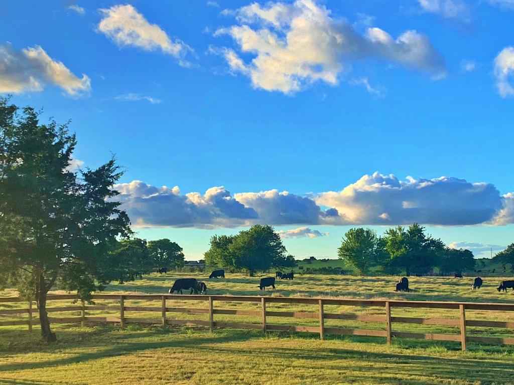 Morris S - Farm
