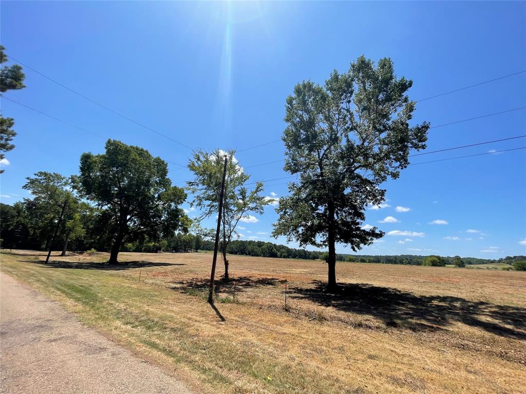 Beutiful Bear Creek Estates awaits your new home site! Located just around the corner from the new Bullard ISD School development, these large estate tracts have peaceful settings and great views. Only minutes and your on HWY 69 which allows easy access to Tyler amenities, such as, Cumberland Mall, Restaurants, and many more! 1600sqft Minimum, No Mobile Homes, Utilties located at road. Seller is open to owner financing. Barndominiums are allowed with appropriate restriction guidelines. Disclaimer: All information deemed reliable but not guaranteed.