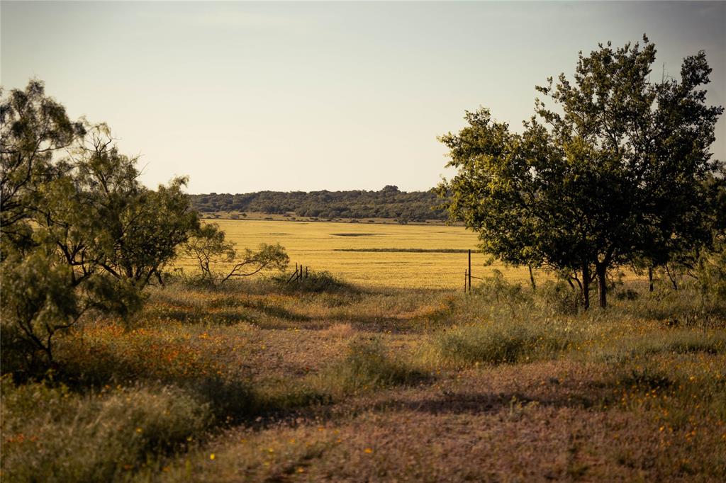 Newschaffer - Farm