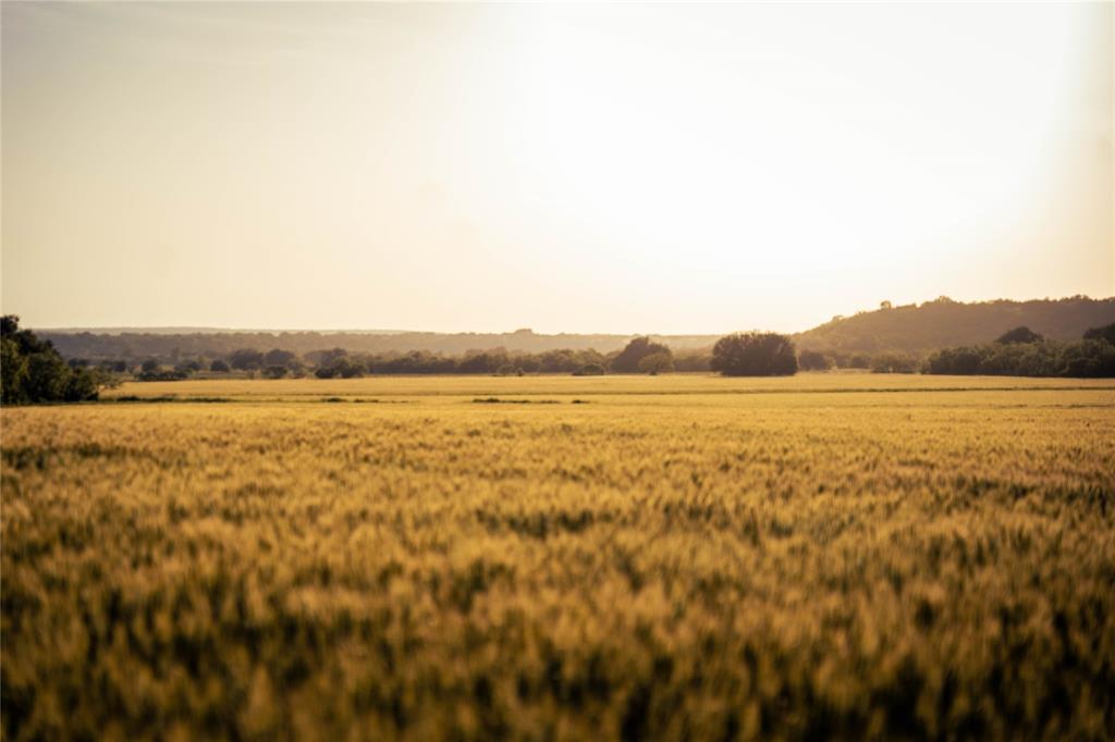 Newschaffer - Farm