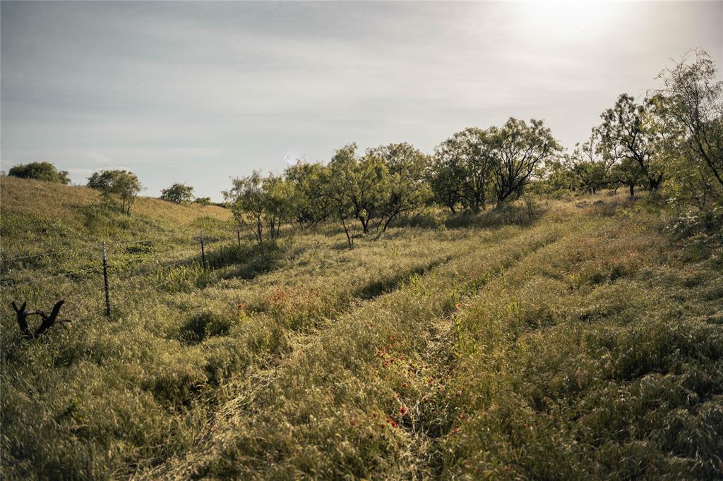 Newschaffer - Farm