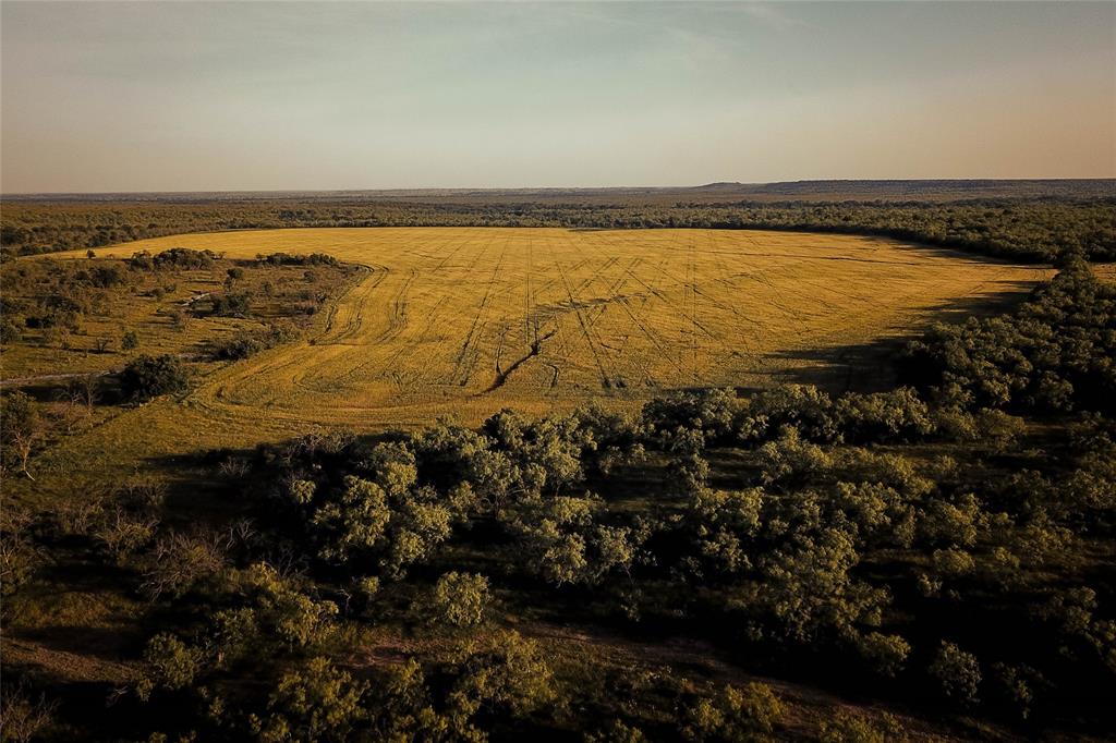 Newschaffer - Farm