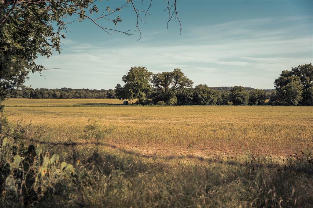 Newschaffer - Farm
