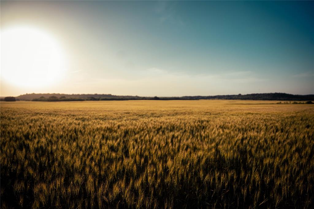 Newschaffer - Farm