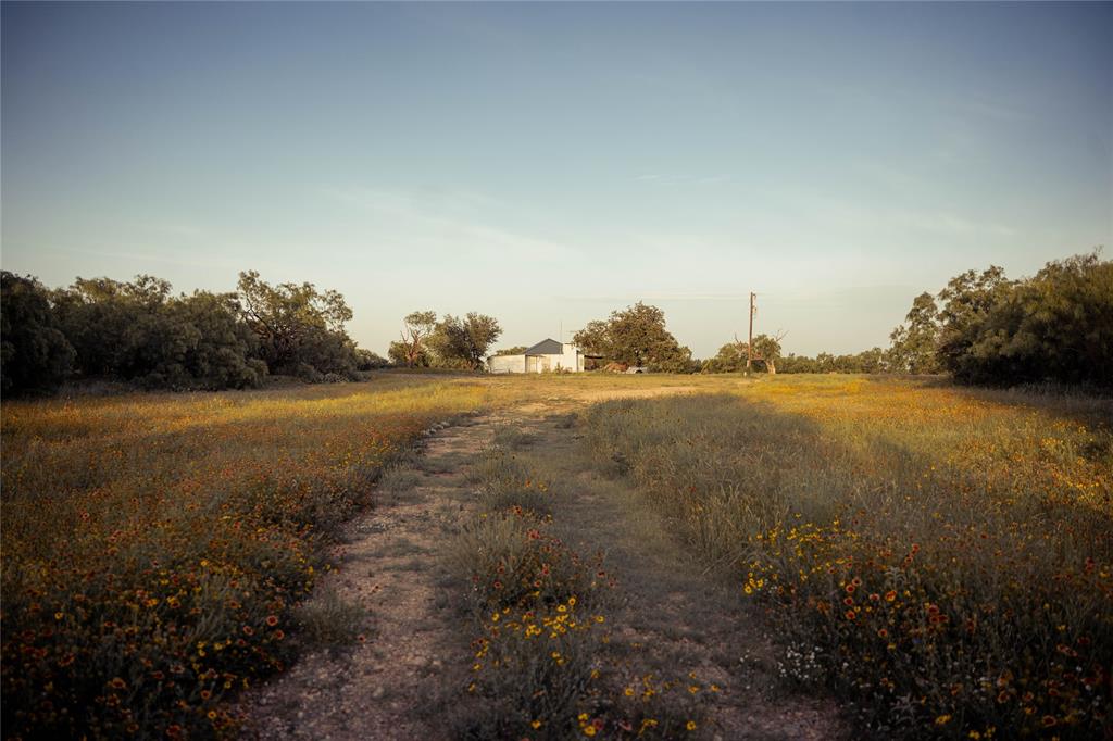 Newschaffer - Farm