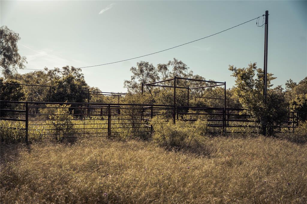 Newschaffer - Farm