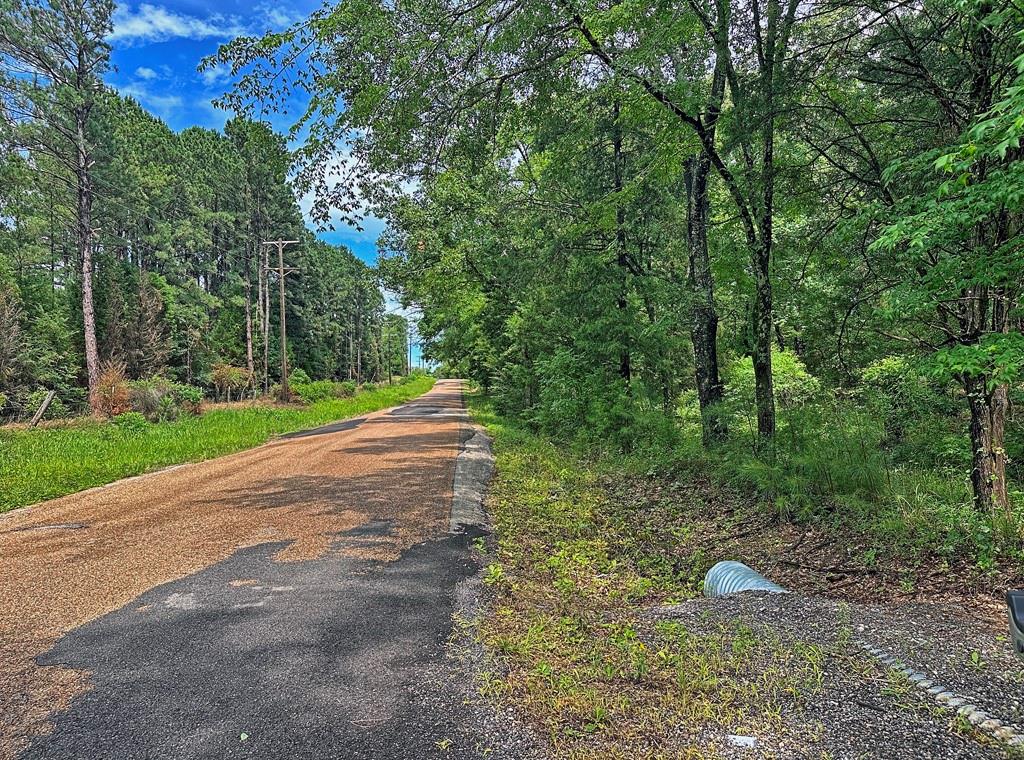Waters Edge Ranch Tr 373 Ph - Land