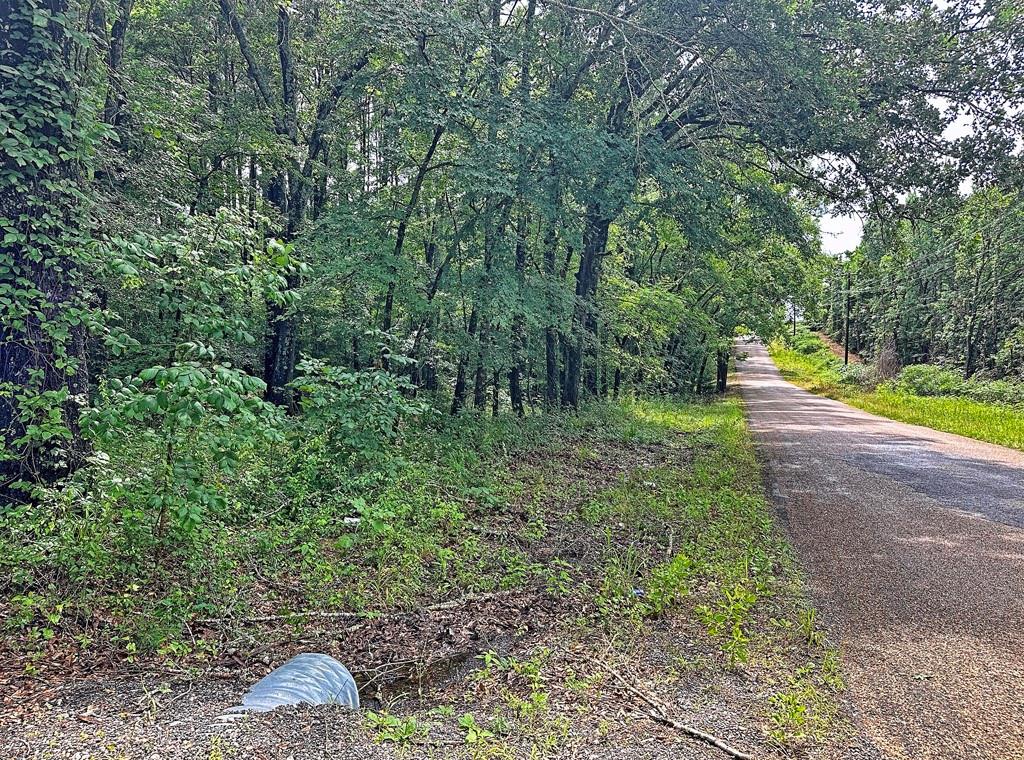 Waters Edge Ranch Tr 373 Ph - Land