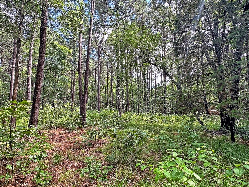 Waters Edge Ranch Tr 373 Ph - Land