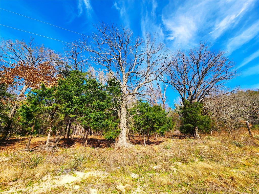 Safari Waters Ranch - Land