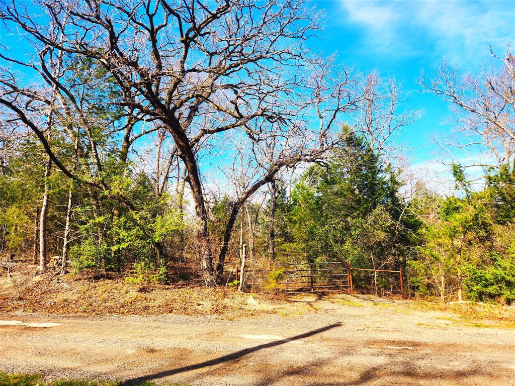 Safari Waters Ranch - Land