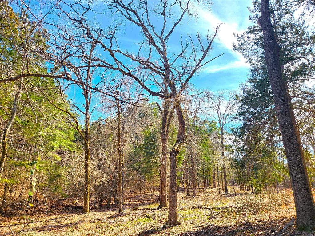 Safari Waters Ranch - Land