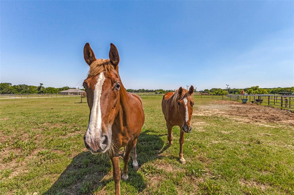 Horseshoe Nail Ranch - Residential