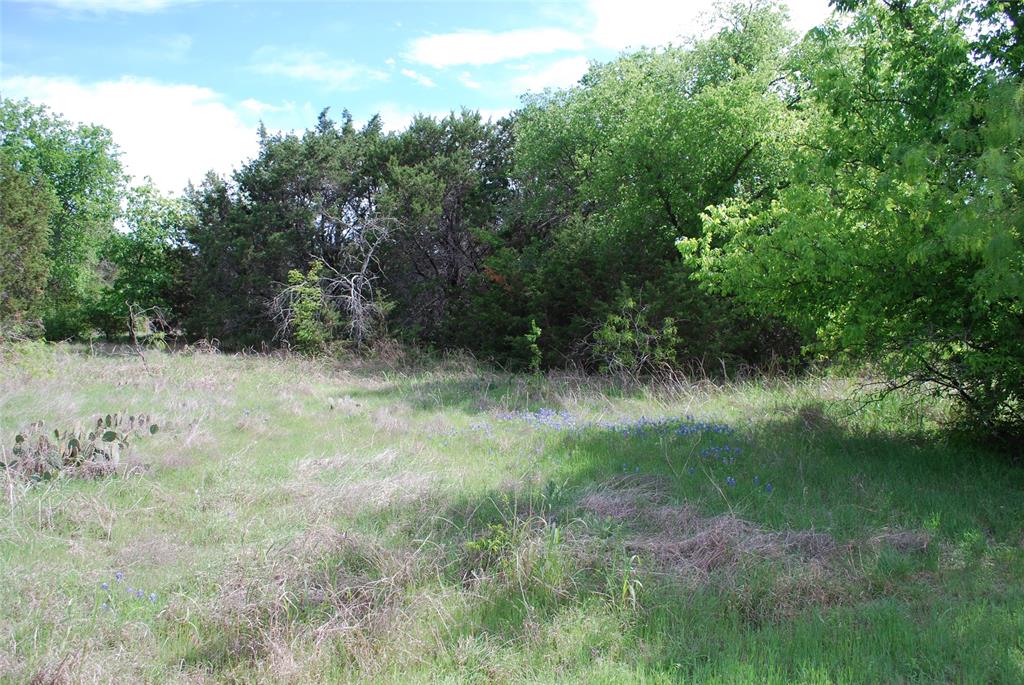 White Bluff #45 - Land