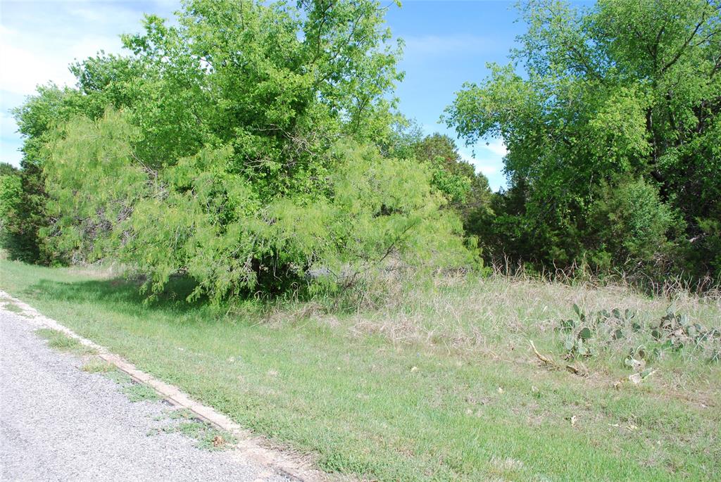 White Bluff #45 - Land